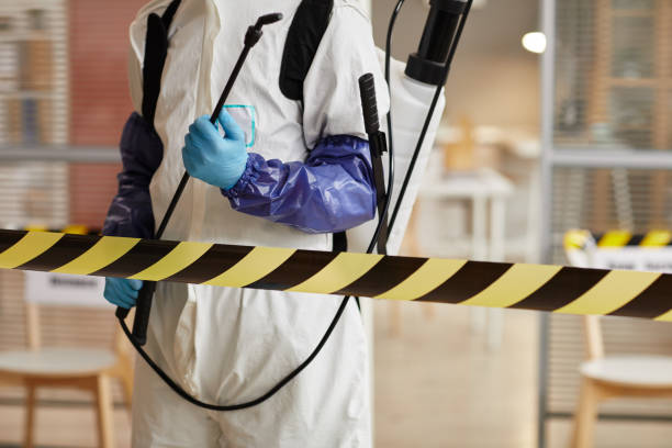 Professional Odor Removal technician working in Alamo, IN